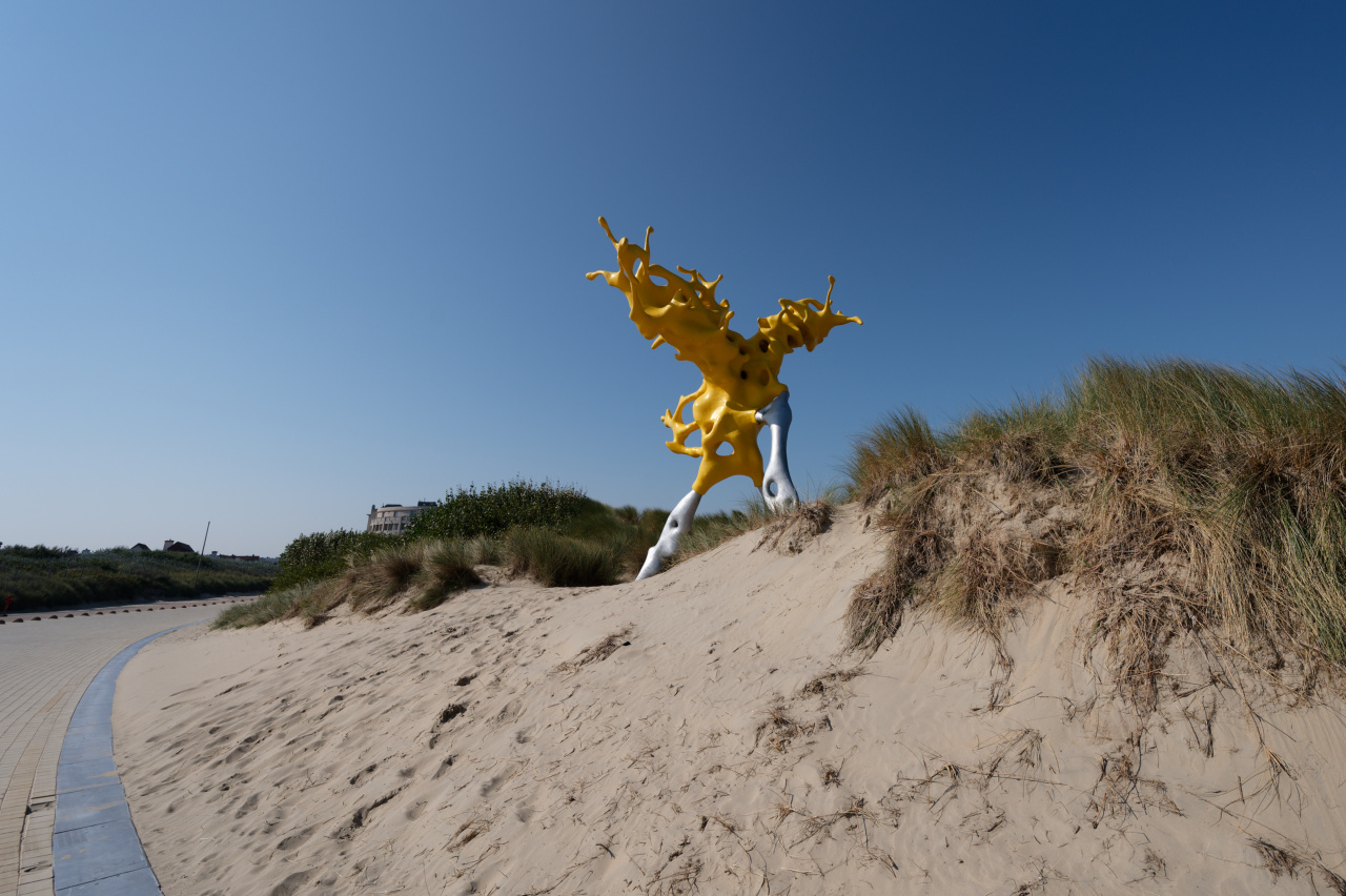 Olnetop, Nick Ervinck