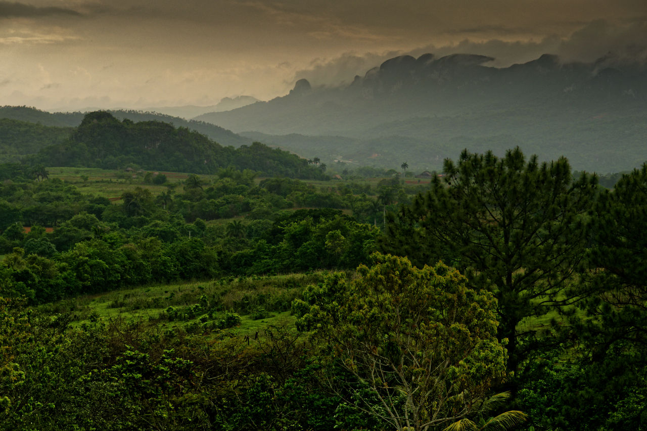 Valle de Vi&ntilde;ales