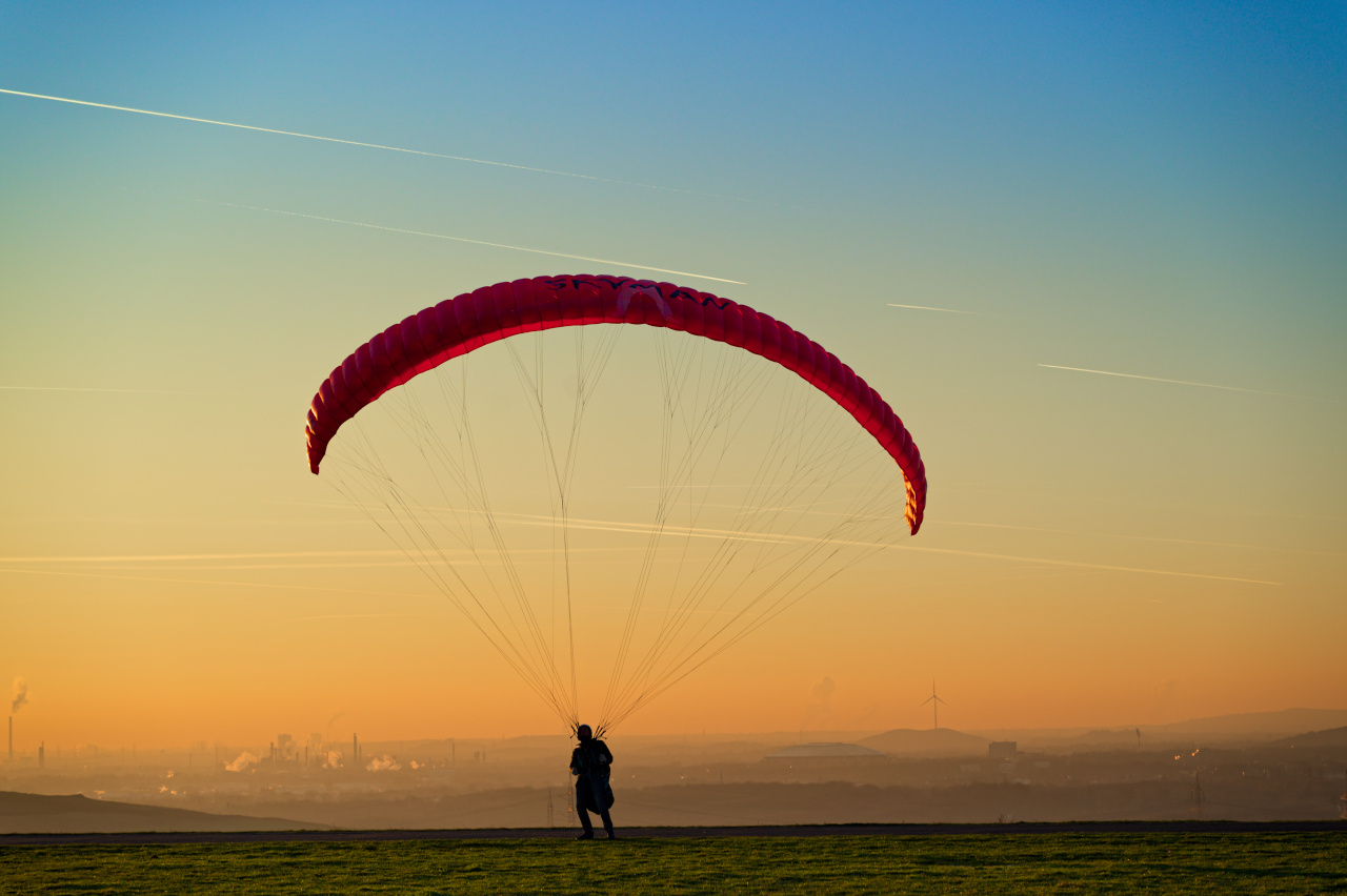 Halde Hoheward, 2024