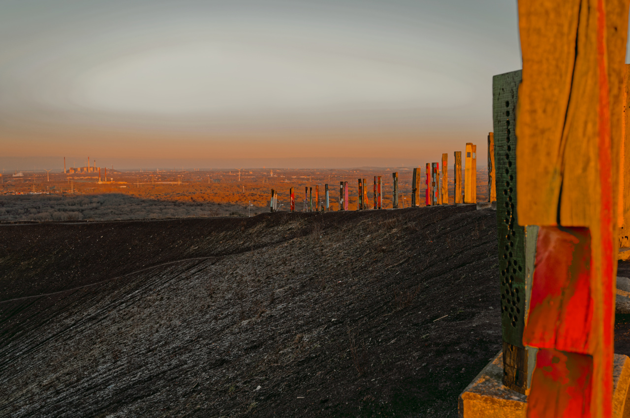 Halde Haniel, Bottrop, 2025