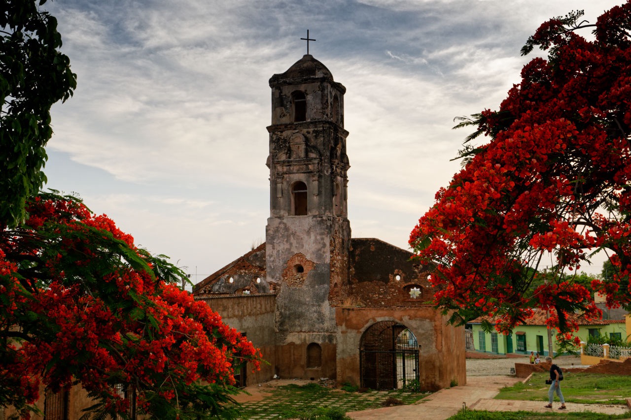 Flamboyant, Trinidad