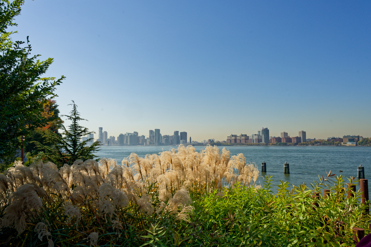 Little Island Vista Point