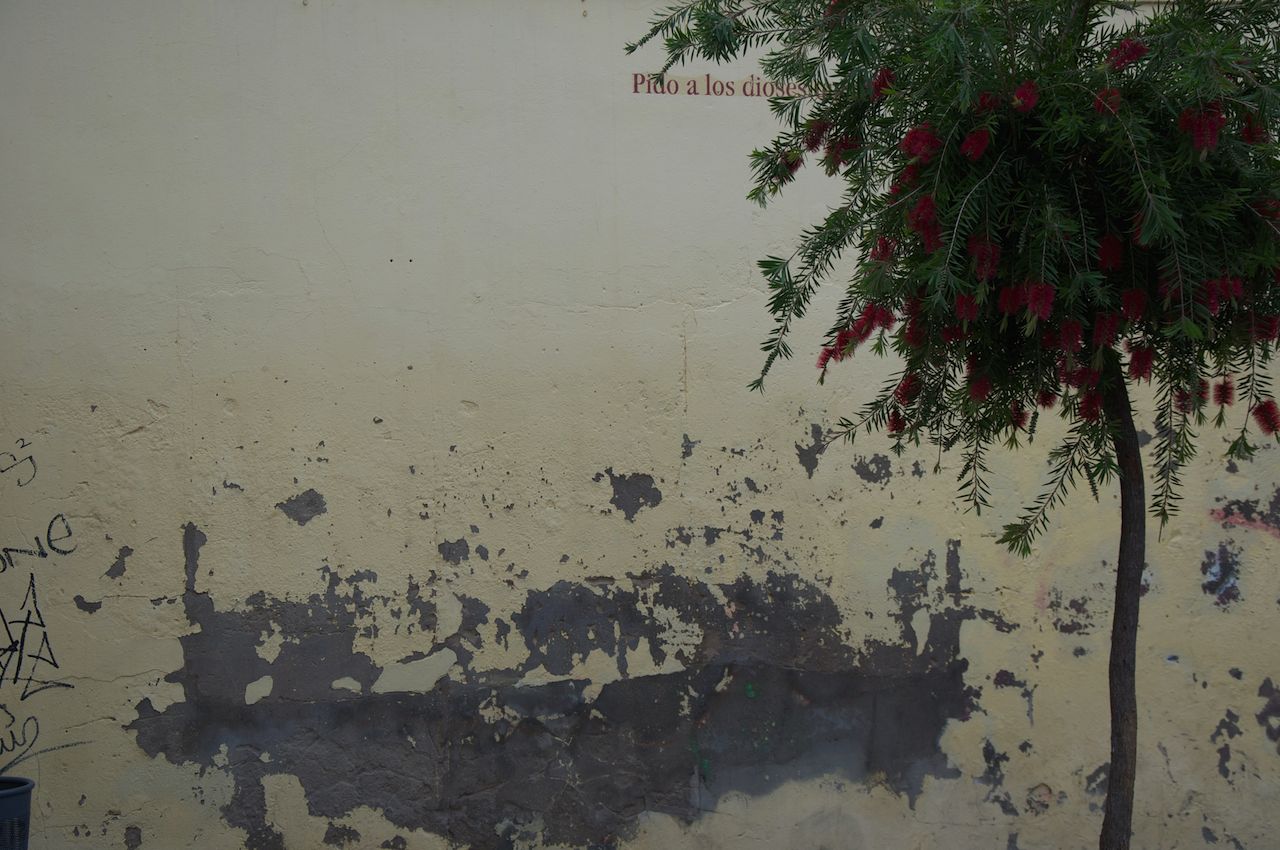 wal and poem, Malaga